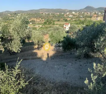 Residential 2300m<sup>2</sup> for sale photo 3207812