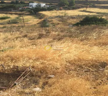Residential 2250m<sup>2</sup> for sale photo 5