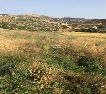 Residential 2250m<sup>2</sup> for sale photo 8