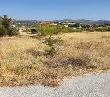 Οικιστικό 512τ.μ. προς πώληση φωτογραφία 3225847