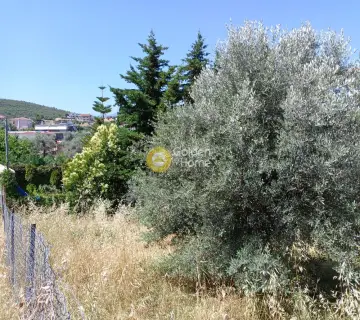 Οικιστικό 300τ.μ. προς πώληση φωτογραφία 2