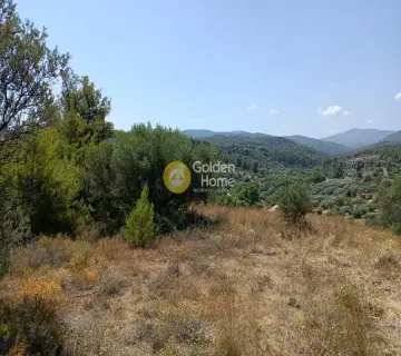 Αγροτεμάχιο 1100τ.μ. προς πώληση φωτογραφία 5