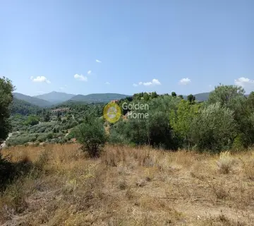 Αγροτεμάχιο 1100τ.μ. προς πώληση φωτογραφία 4
