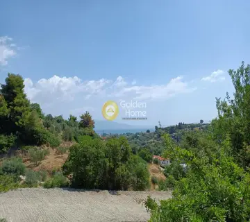 Αγροτεμάχιο 1100τ.μ. προς πώληση φωτογραφία 6