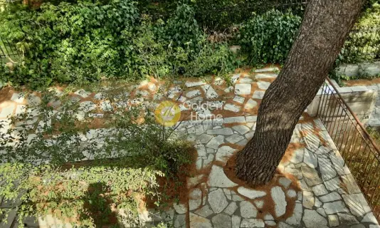 独立复式小屋 321m<sup>2</sup> for sale photo 3