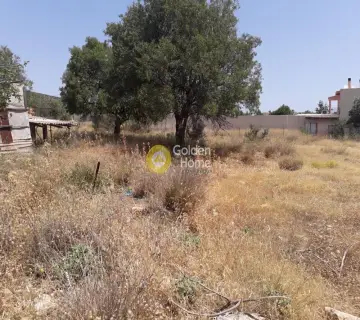 Οικιστικό 418τ.μ. προς πώληση φωτογραφία 3211519