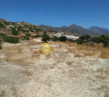 住宅 4450m<sup>2</sup> for sale photo 3
