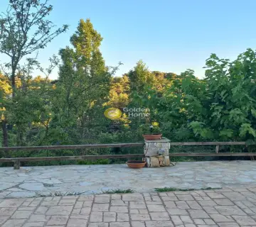 House 330m<sup>2</sup> for sale photo 4