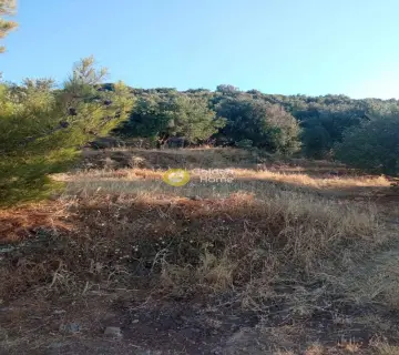 Residential 4200m<sup>2</sup> for sale photo 3224643