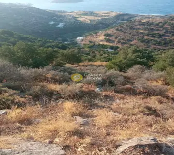 Residential 5300m<sup>2</sup> for sale photo 8