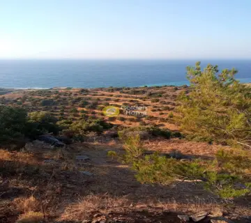 Residential 5300m<sup>2</sup> for sale photo 7
