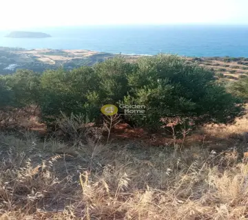 Residential 5300m<sup>2</sup> for sale photo 6