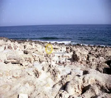 Residential 31000m<sup>2</sup> for sale photo 3234945