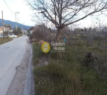 Οικιστικό 808τ.μ. προς πώληση φωτογραφία 3573191