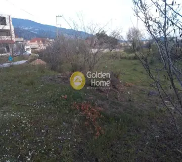 Οικιστικό 808τ.μ. προς πώληση φωτογραφία 3573192