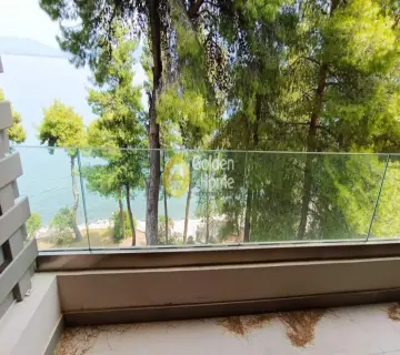 Διαμέρισμα 55τ.μ. προς πώληση φωτογραφία 4295219