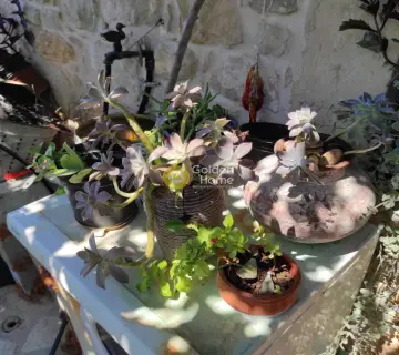 Μονοκατοικία 85τ.μ. προς πώληση φωτογραφία 3239776