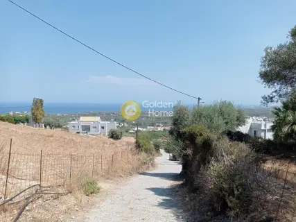 Residential 4000m<sup>2</sup> for sale photo 5