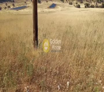 Professional Plot 13000m<sup>2</sup> for sale photo 5