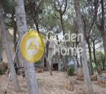 Golden Home Property Image