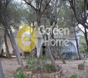 Golden Home Property Image