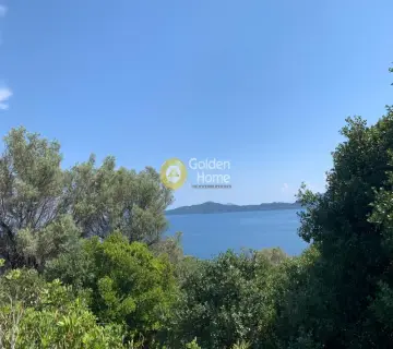 Αγροτεμάχιο 20666τ.μ. προς πώληση φωτογραφία 2
