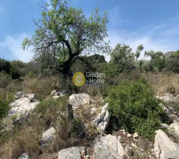 Αγροτεμάχιο 20666τ.μ. προς πώληση φωτογραφία 5