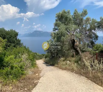 Αγροτεμάχιο 20666τ.μ. προς πώληση φωτογραφία 4
