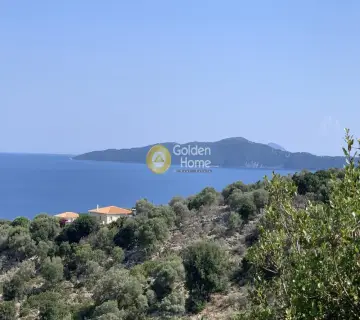 Αγροτεμάχιο 20666τ.μ. προς πώληση φωτογραφία 3