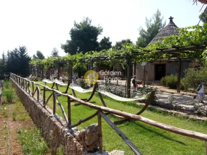 Hotel 13000m<sup>2</sup> for sale photo 5