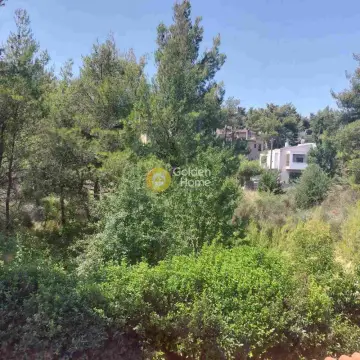 House 368m<sup>2</sup> for sale photo 30