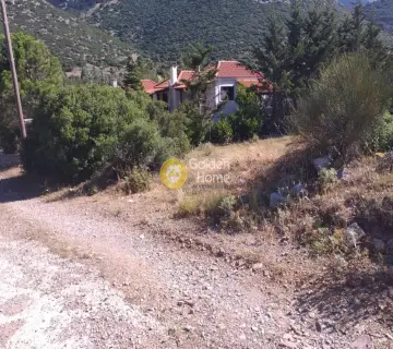 Residential 4718m<sup>2</sup> for sale photo 3243461