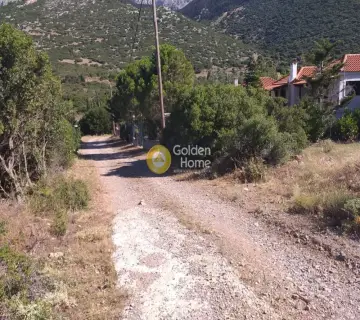 Residential 4718m<sup>2</sup> for sale photo 3243461