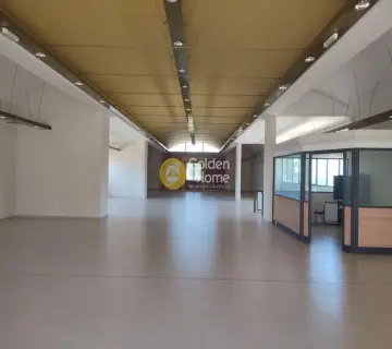 Αυτόνομο Κτίριο 1100τ.μ. προς πώληση φωτογραφία 6