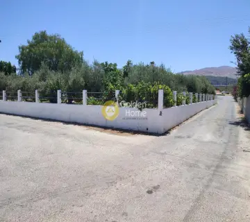 Αυτόνομο Κτίριο 1100τ.μ. προς πώληση φωτογραφία 8