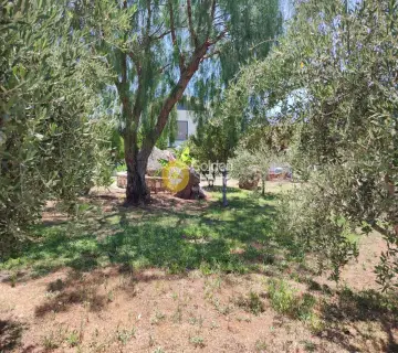 Αυτόνομο Κτίριο 1100τ.μ. προς πώληση φωτογραφία 9