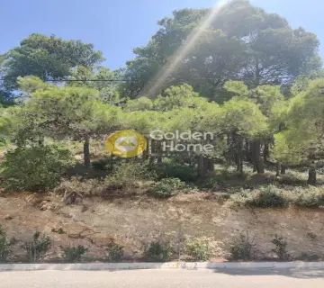 Οικιστικό 1010τ.μ. προς πώληση φωτογραφία 1