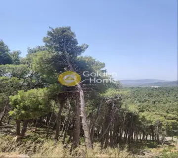 Οικιστικό 1010τ.μ. προς πώληση φωτογραφία 3