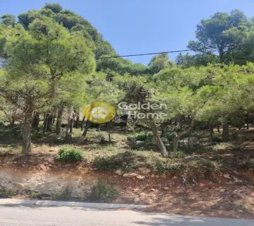 Οικιστικό 1010τ.μ. προς πώληση φωτογραφία 2