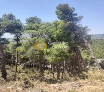 Οικιστικό 1010τ.μ. προς πώληση φωτογραφία 4