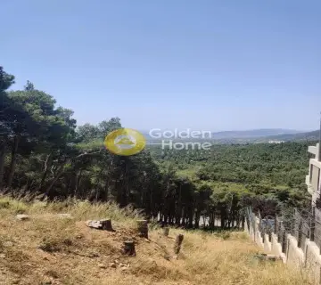 Οικιστικό 1010τ.μ. προς πώληση φωτογραφία 5