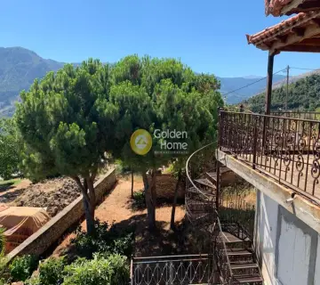 Golden Home Property Image