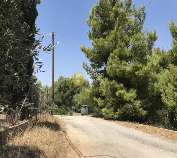 Parcel 4010m<sup>2</sup> for sale photo 3247922