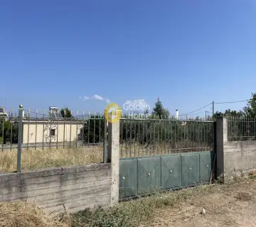 Αγροτεμάχιο 303τ.μ. προς πώληση φωτογραφία 1