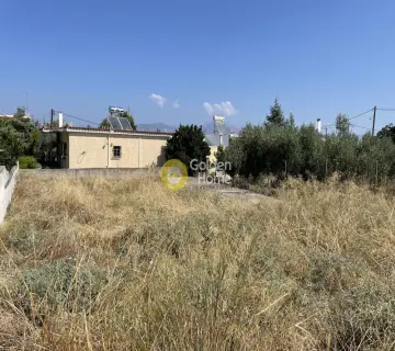 Αγροτεμάχιο 303τ.μ. προς πώληση φωτογραφία 3277614