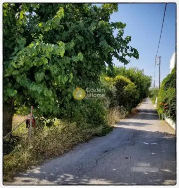 Parcel 246m<sup>2</sup> for sale photo 3249311