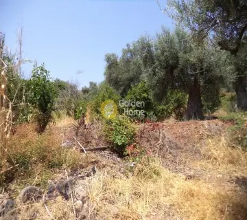Parcel 570m<sup>2</sup> for sale photo 3249433