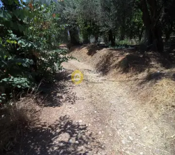 Parcel 571m<sup>2</sup> for sale photo 3249435