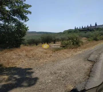 Αγροτεμάχιο 836τ.μ. προς πώληση φωτογραφία 3252325