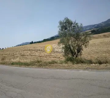 Αγροτεμάχιο 2142τ.μ. προς πώληση φωτογραφία 3252314